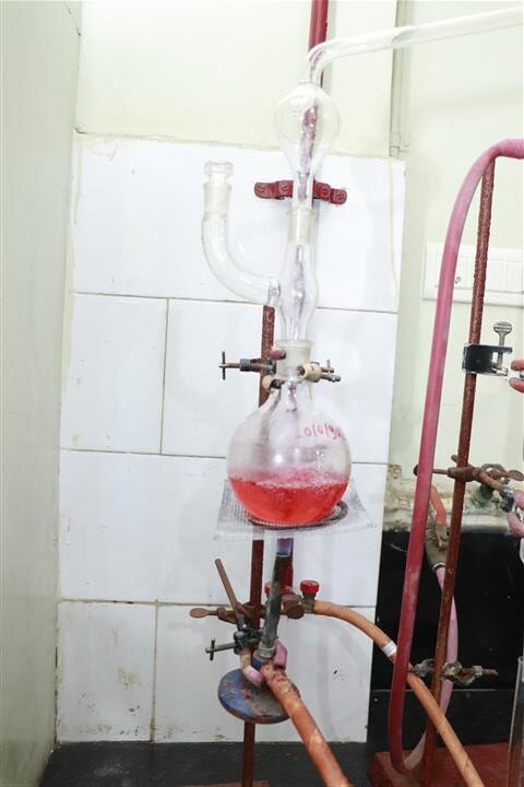 Protein - Nitrogen Assembly Protein - Nitrogen Assembly
