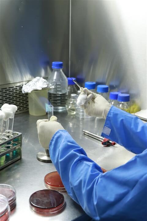 Protein - Nitrogen Assembly Protein - Nitrogen Assembly